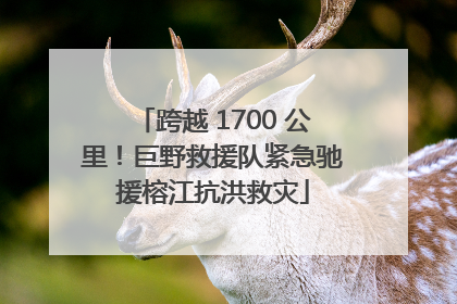 跨越 1700 公里！巨野救援队紧急驰援榕江抗洪救灾