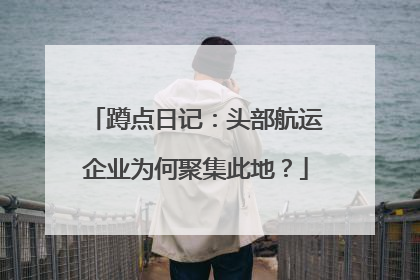 蹲点日记：头部航运企业为何聚集此地？