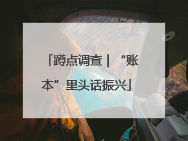 蹲点调查｜“账本”里头话振兴