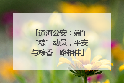 通河公安：端午“粽”动员，平安与粽香一路相伴