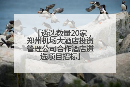 遴选数量20家，郑州机场大酒店投资管理公司合作酒店遴选项目招标