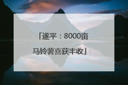 遂平：8000亩马铃薯喜获丰收