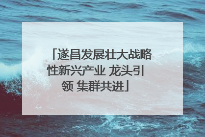 遂昌发展壮大战略性新兴产业 龙头引领 集群共进