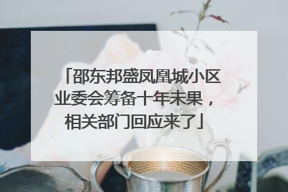 邵东邦盛凤凰城小区业委会筹备十年未果，相关部门回应来了