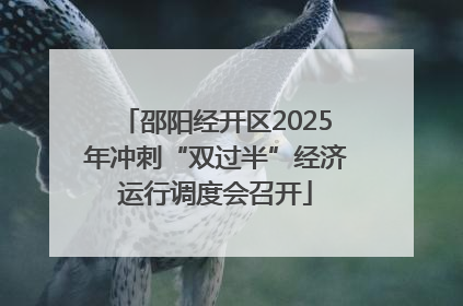 邵阳经开区2025年冲刺“双过半”经济运行调度会召开