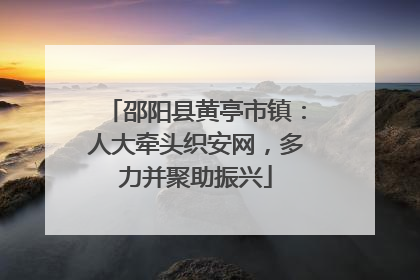 邵阳县黄亭市镇：人大牵头织安网，多力并聚助振兴