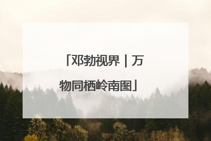 邓勃视界｜万物同栖岭南图