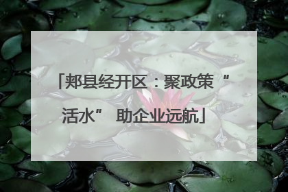 郏县经开区：聚政策“活水” 助企业远航