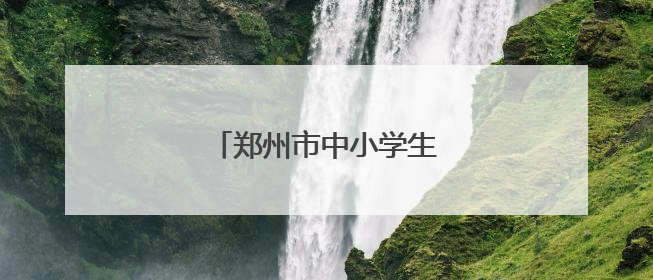 郑州市中小学生荷球锦标赛落幕