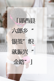 郧西县六郎乡“银茧”织就振兴“金路”