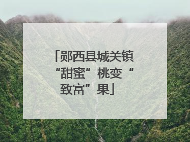 郧西县城关镇“甜蜜”桃变“致富”果