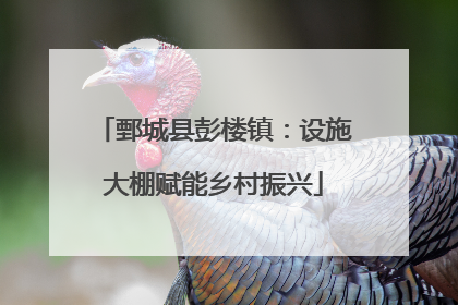 鄄城县彭楼镇：设施大棚赋能乡村振兴