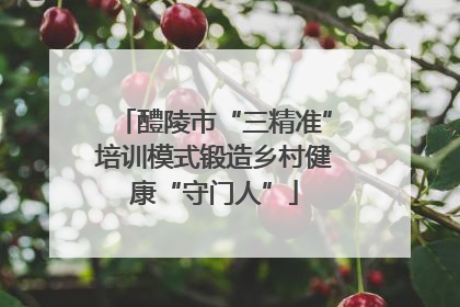 醴陵市“三精准”培训模式锻造乡村健康“守门人”