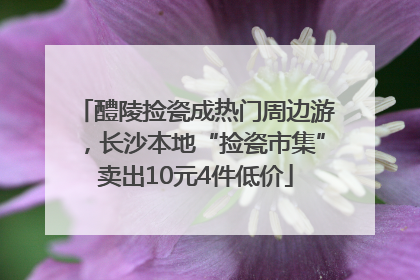 醴陵捡瓷成热门周边游，长沙本地“捡瓷市集”卖出10元4件低价