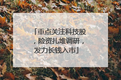 重点关注科技股，险资扎堆调研，发力长钱入市