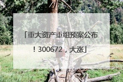 重大资产重组预案公布！300672，大涨