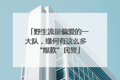 野生流量偏爱的一大队，缘何有这么多“爆款”民警