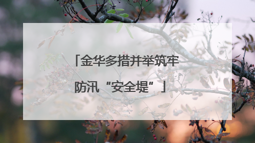 金华多措并举筑牢防汛“安全堤”