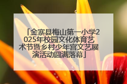 金寨县梅山第一小学2025年校园文化体育艺术节暨乡村少年宫文艺展演活动圆满落幕