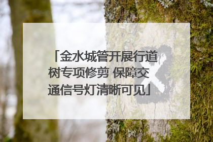 金水城管开展行道树专项修剪 保障交通信号灯清晰可见