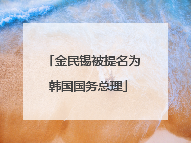 金民锡被提名为韩国国务总理