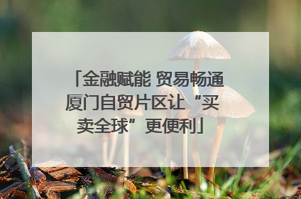 金融赋能 贸易畅通 厦门自贸片区让“买卖全球”更便利