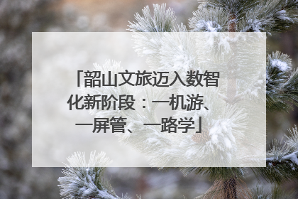 韶山文旅迈入数智化新阶段：一机游、一屏管、一路学
