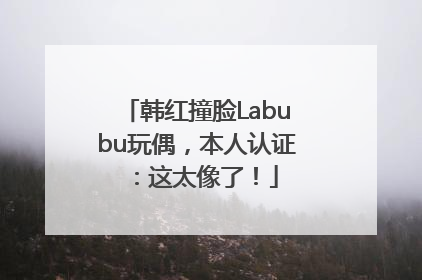 韩红撞脸Labubu玩偶，本人认证：这太像了！