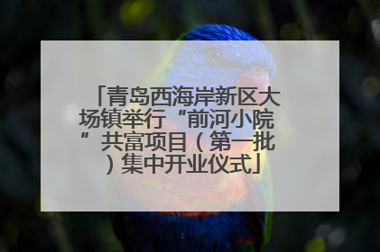 青岛西海岸新区大场镇举行“前河小院”共富项目（第一批）集中开业仪式
