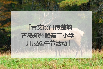 青艾缀门传楚韵 青岛郑州路第二小学开展端午节活动