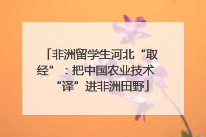非洲留学生河北“取经”：把中国农业技术“译”进非洲田野