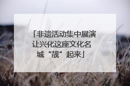 非遗活动集中展演 让兴化这座文化名城“靓”起来