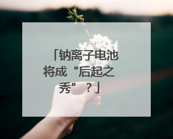 钠离子电池将成“后起之秀”？