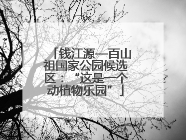钱江源—百山祖国家公园候选区：“这是一个动植物乐园”