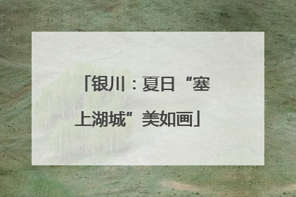 银川：夏日“塞上湖城”美如画