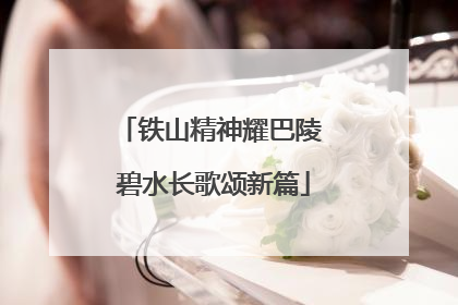 铁山精神耀巴陵 碧水长歌颂新篇