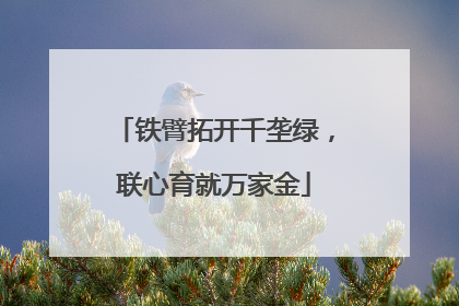铁臂拓开千垄绿，联心育就万家金