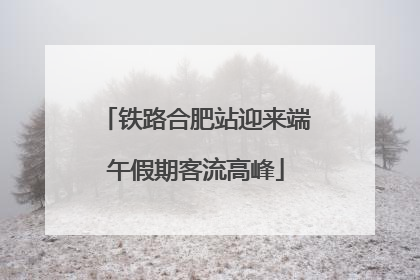 铁路合肥站迎来端午假期客流高峰