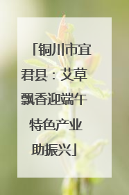 铜川市宜君县：艾草飘香迎端午 特色产业助振兴
