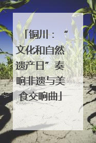 铜川：“文化和自然遗产日”奏响非遗与美食交响曲