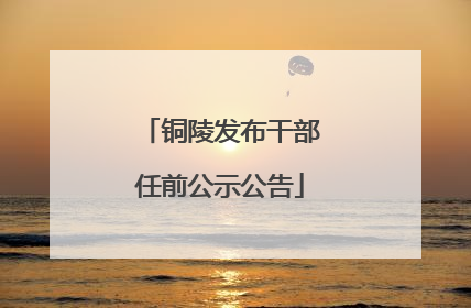 铜陵发布干部任前公示公告