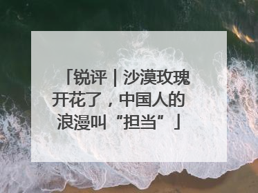 锐评｜沙漠玫瑰开花了，中国人的浪漫叫“担当”