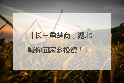 长三角楚商，湖北喊你回家乡投资！