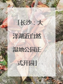 长沙：大泽湖近自然湿地公园正式开园