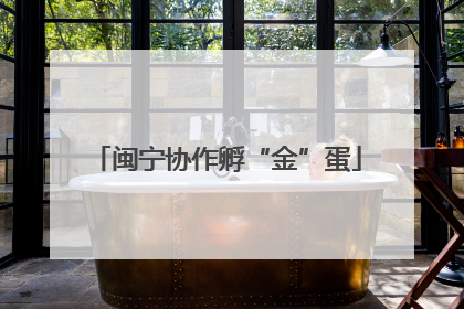 闽宁协作孵“金”蛋