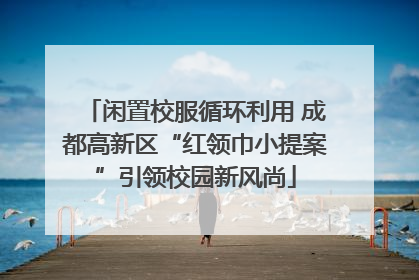 闲置校服循环利用 成都高新区“红领巾小提案”引领校园新风尚