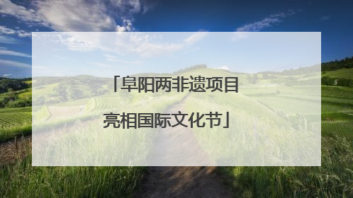 阜阳两非遗项目亮相国际文化节