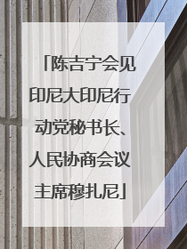 陈吉宁会见印尼大印尼行动党秘书长、人民协商会议主席穆扎尼