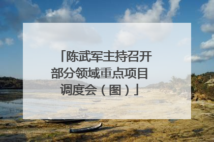 陈武军主持召开部分领域重点项目调度会（图）