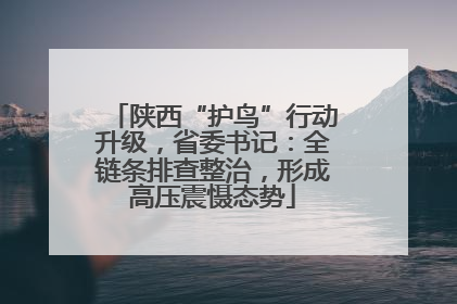 陕西“护鸟”行动升级，省委书记：全链条排查整治，形成高压震慑态势